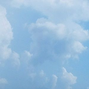 Meet your Posher, Brigitte